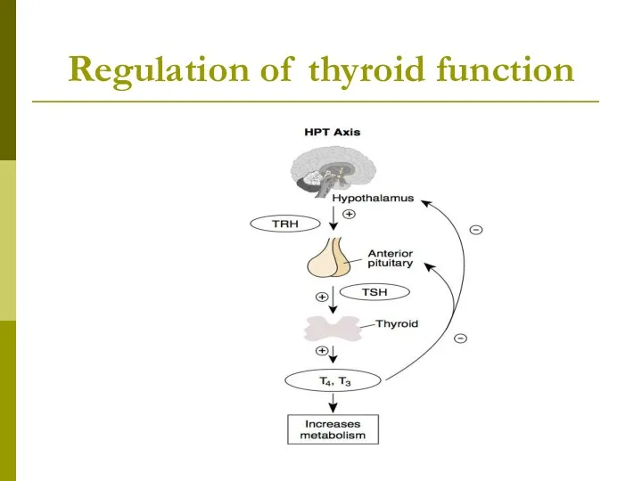 Regulation of thyroid function