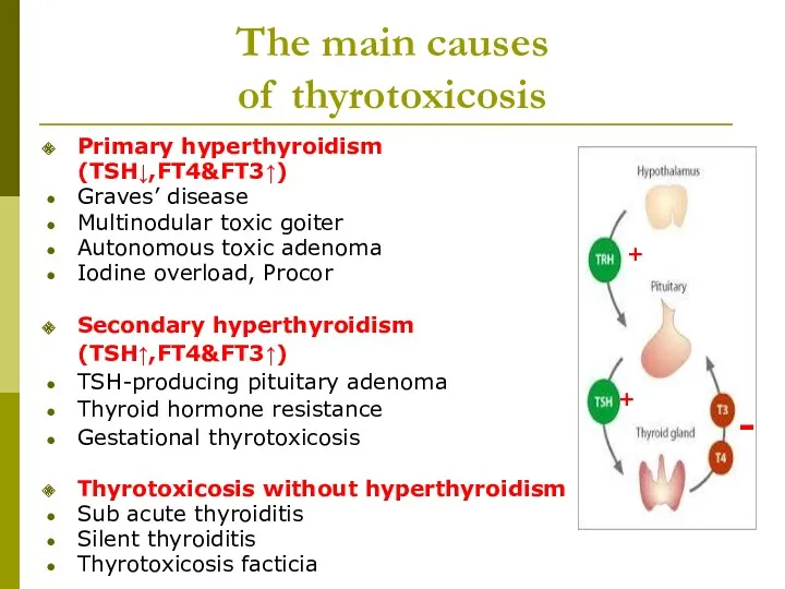 The main causes of thyrotoxicosis Primary hyperthyroidism (TSH↓,FT4&FT3↑) Graves’ disease Multinodular toxic goiter