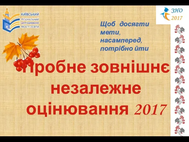 Щоб досягти мети, насамперед, потрібно йти Пробне зовнішнє незалежне оцінювання 2017