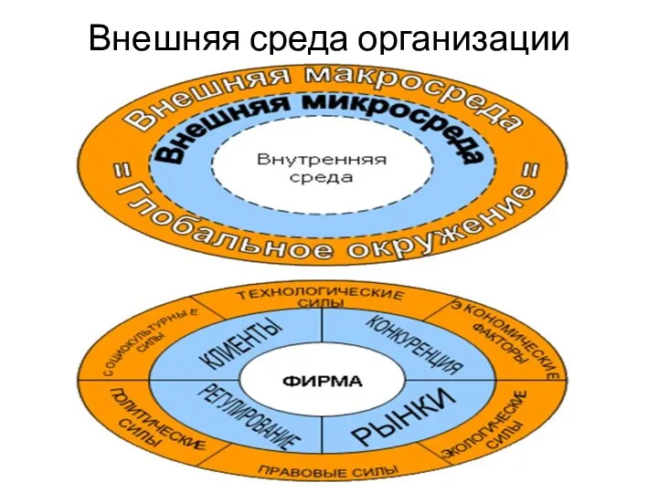 Внешняя среда организации