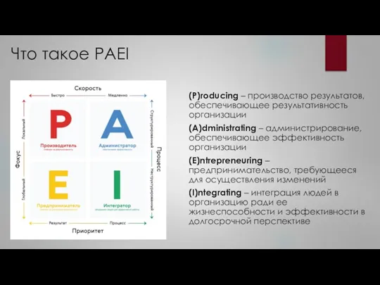 Что такое PAEI (P)roducing – производство результатов, обеспечивающее результативность организации