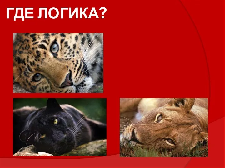 ГДЕ ЛОГИКА?