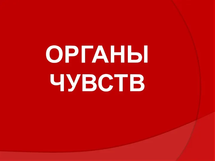 ОРГАНЫ ЧУВСТВ