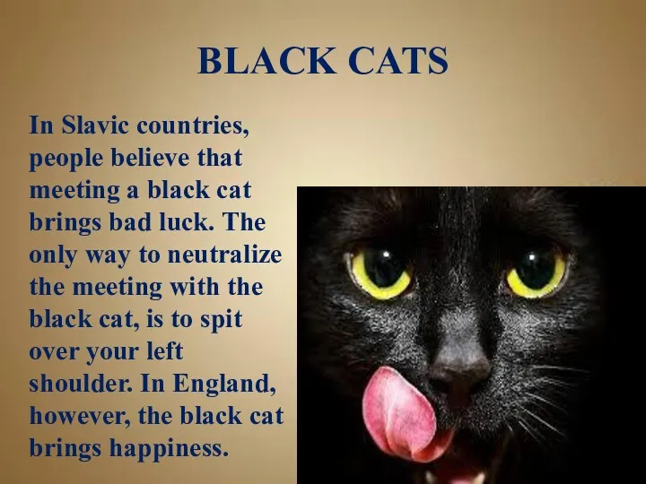 BLACK CATS In Slavic countries, people believe that meeting a