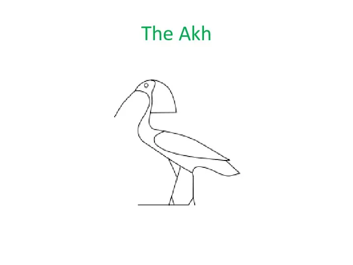 The Akh