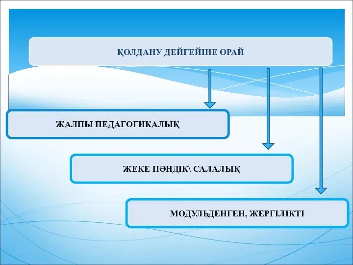 ҚОЛДАНУ ДЕЙГЕЙІНЕ ОРАЙ ЖАЛПЫ ПЕДАГОГИКАЛЫҚ ЖЕКЕ ПӘНДІК\ САЛАЛЫҚ МОДУЛЬДЕНГЕН, ЖЕРГІЛІКТІ