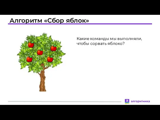 Алгоритм «Сбор яблок» Какие команды мы выполняли, чтобы сорвать яблоко?