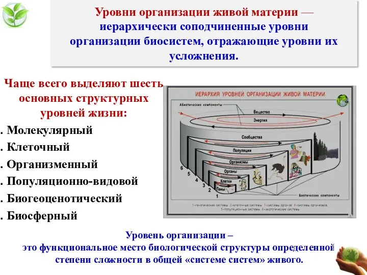 Уровни организации живой материи — иерархически соподчиненные уровни организации биосистем,