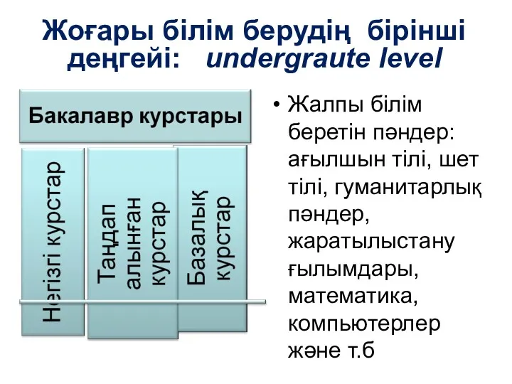 Жалпы білім беретін пәндер: ағылшын тілі, шет тілі, гуманитарлық пәндер,