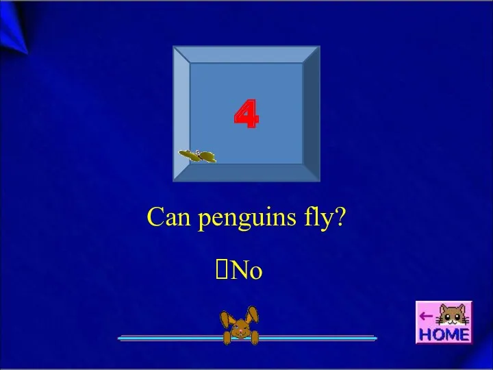 4 Can penguins fly? No