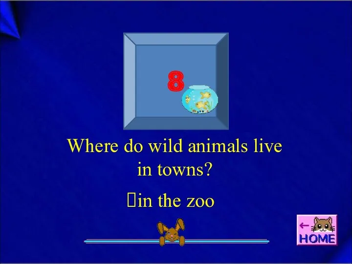 8 Where do wild animals live in towns? in the zoo