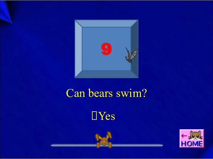 9 Can bears swim? Yes