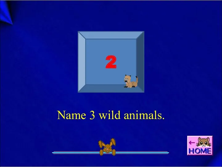 Name 3 wild animals. 2
