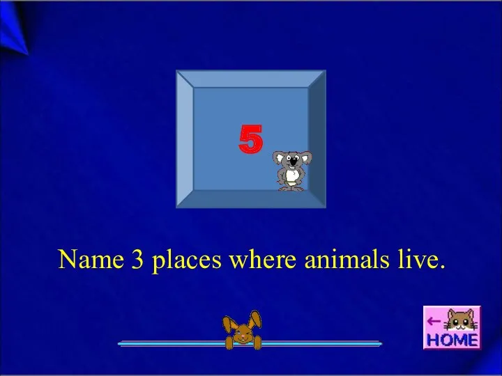 5 Name 3 places where animals live.