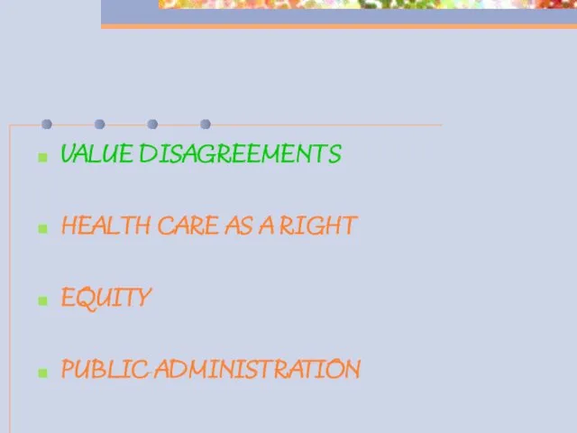 VALUE DISAGREEMENTS HEALTH CARE AS A RIGHT EQUITY PUBLIC ADMINISTRATION