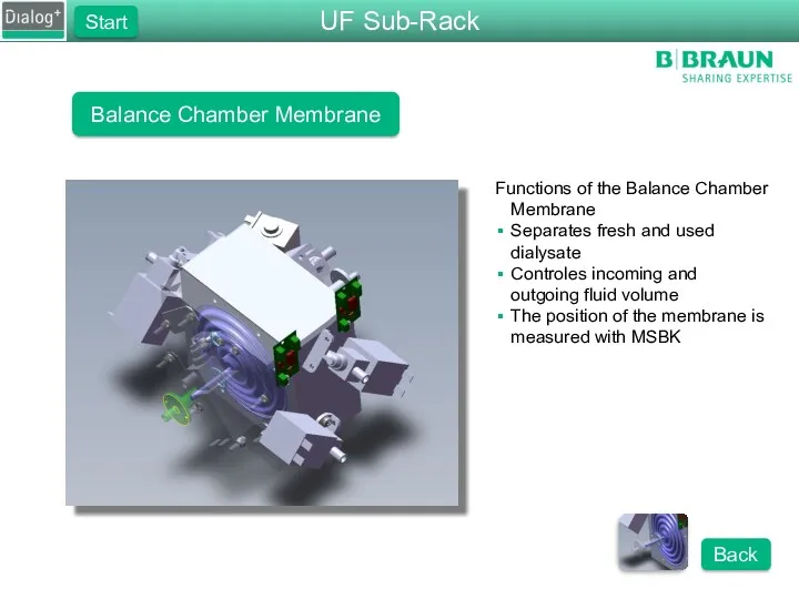 Balance Chamber Membrane Functions of the Balance Chamber Membrane Separates