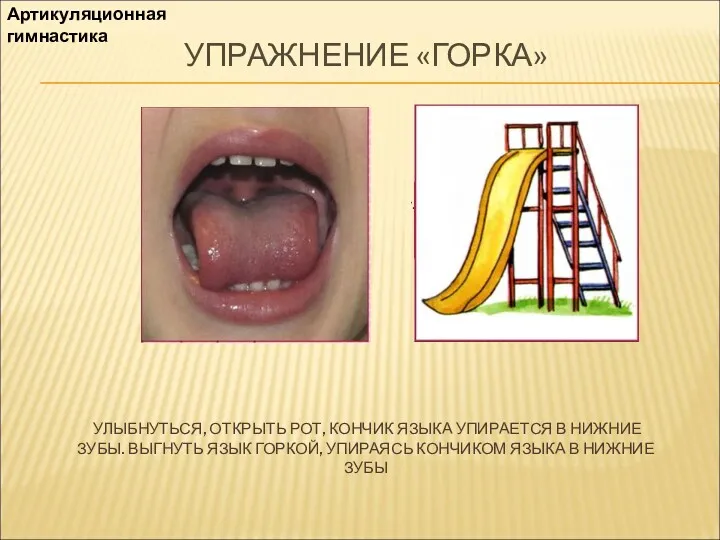 УПРАЖНЕНИЕ «ГОРКА» УЛЫБНУТЬСЯ, ОТКРЫТЬ РОТ, КОНЧИК ЯЗЫКА УПИРАЕТСЯ В НИЖНИЕ