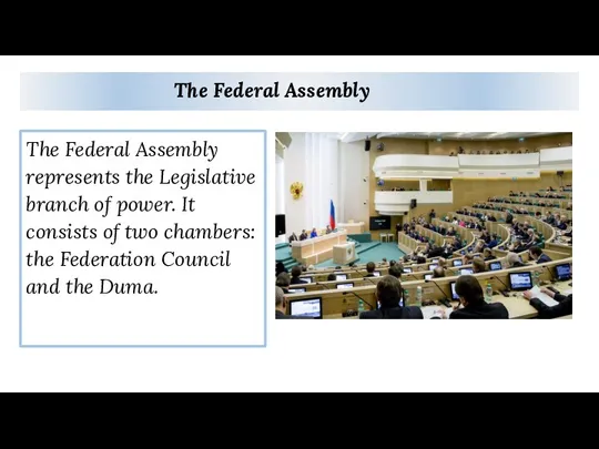 The Federal Assembly The Federal Assembly represents the Legislative branch