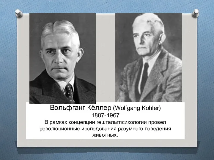 Вольфганг Кёллер (Wolfgang Köhler) 1887-1967 В рамках концепции гештальтпсихологии провел революционные исследования разумного поведения животных.