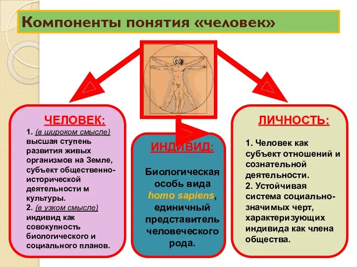 Компоненты понятия «человек» ЧЕЛОВЕК: 1. (в широком смысле) высшая ступень