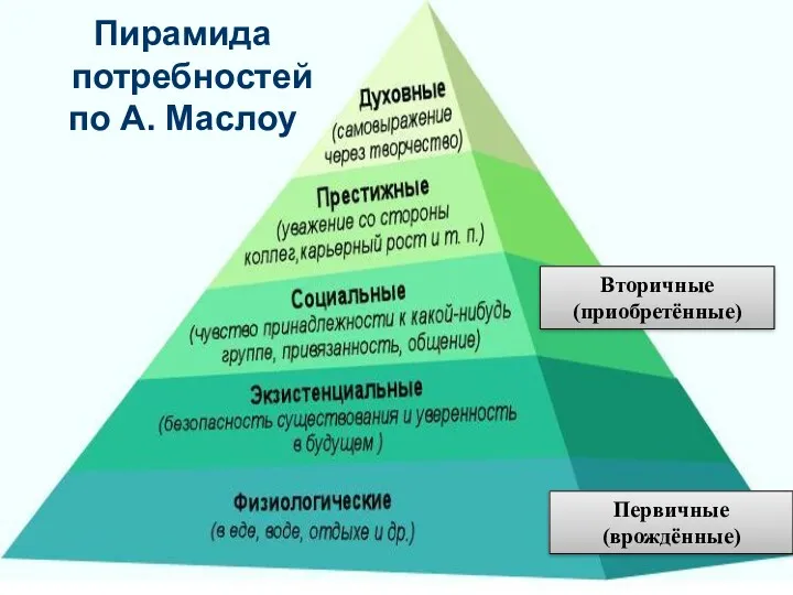 Пирамида потребностей по А. Маслоу Вторичные (приобретённые) Первичные (врождённые)