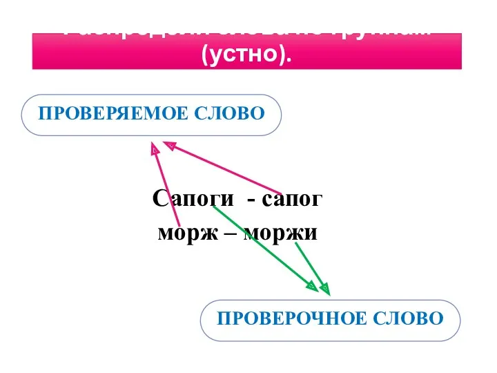 Распредели слова по группам (устно). Сапоги - сапог морж – моржи ПРОВЕРЯЕМОЕ СЛОВО ПРОВЕРОЧНОЕ СЛОВО