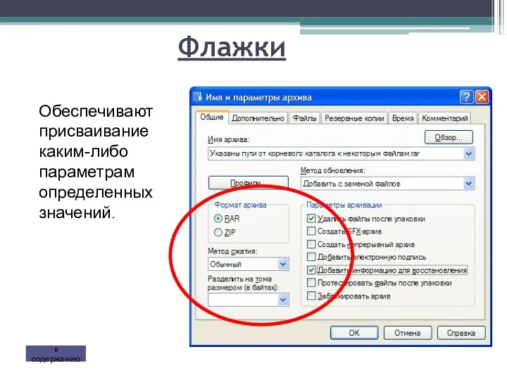 Флажки к содержанию Обеспечивают присваивание каким-либо параметрам определенных значений.