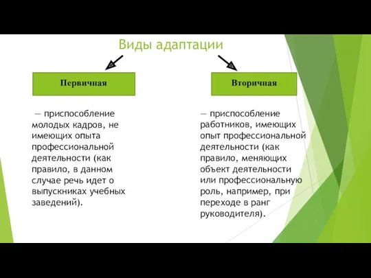 Виды адаптации Первичная Вторичная — приспособление молодых кадров, не имеющих