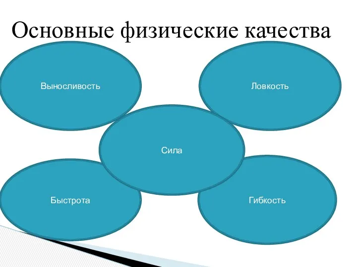 Быстрота Гибкость Ловкость Выносливость Сила Основные физические качества