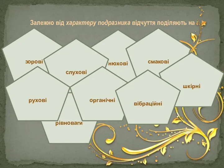 рівноваги нюхові Залежно від характеру подразника відчуття поділяють на : зорові слухові смакові