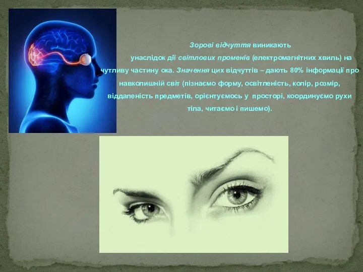 Зорові відчуття виникають унаслідок дії світлових променів (електромагнітних хвиль) на