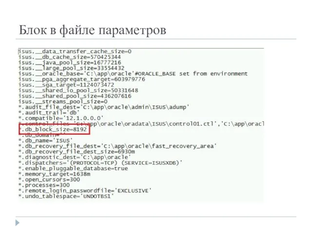Блок в файле параметров