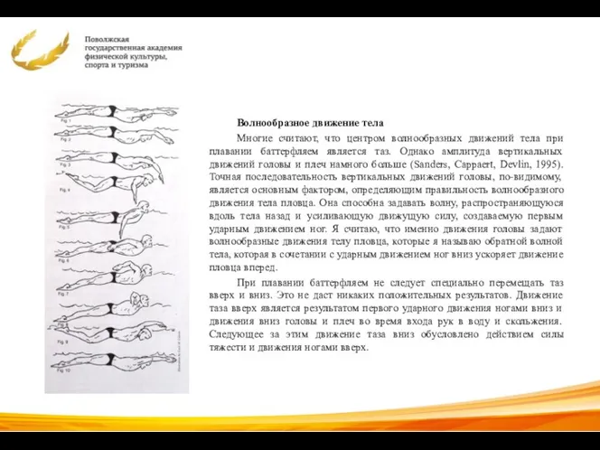 Волнообразное движение тела Многие считают, что центром волнообразных движений тела