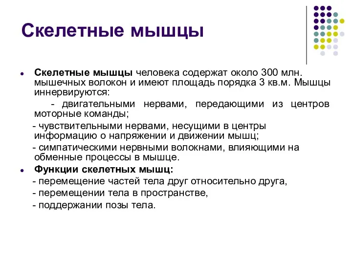 Скелетные мышцы Скелетные мышцы человека содержат около 300 млн. мышечных