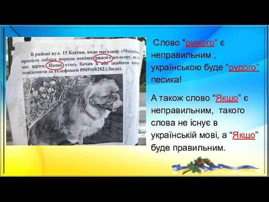 Слово "рижого" є неправильним , українською буде “рудого” песика! А