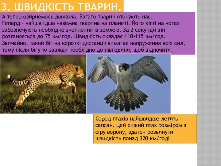 3. ШВИДКІСТЬ ТВАРИН. А тепер озирнемось довкола. Багато тварин оточують