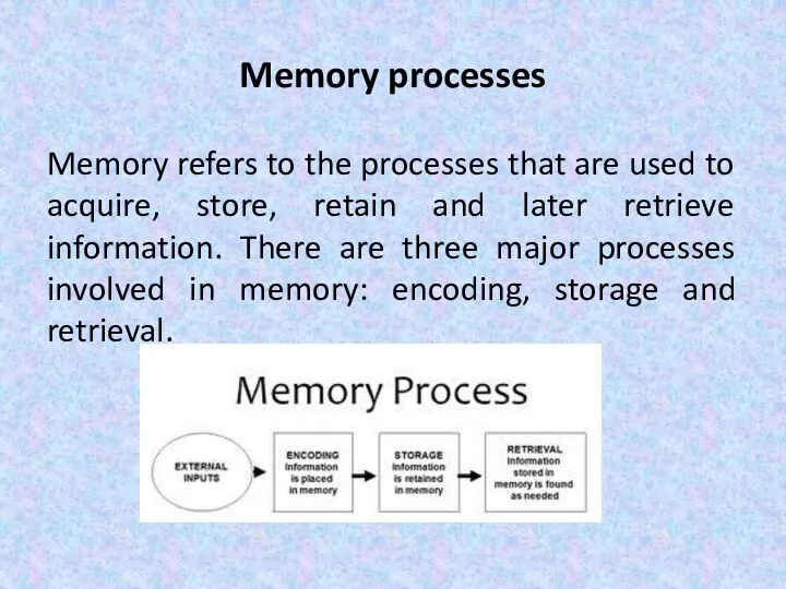 Memory processes Memory refers to the processes that are used
