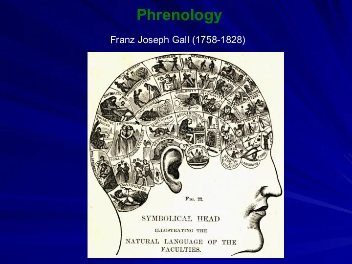 Phrenology Franz Joseph Gall (1758-1828)