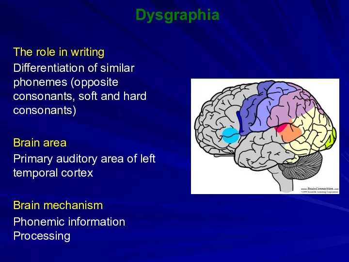 Dysgraphia The role in writing Differentiation of similar phonemes (opposite consonants, soft and