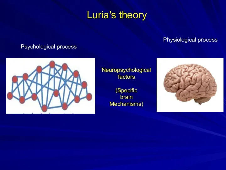 Luria's theory Psychological process Physiological process Neuropsychological factors (Specific brain Mechanisms)