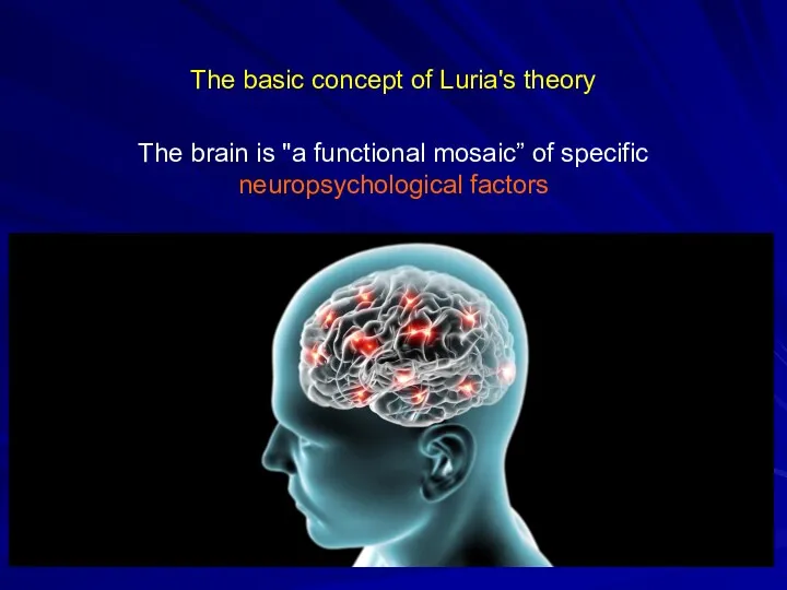 The basic concept of Luria's theory The brain is "a functional mosaic” of specific neuropsychological factors