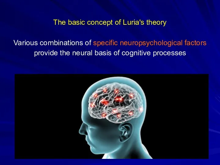 The basic concept of Luria's theory Various combinations of specific neuropsychological factors provide