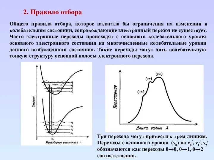 2. Правило отбора Общего правила отбора, которое налагало бы ограничения