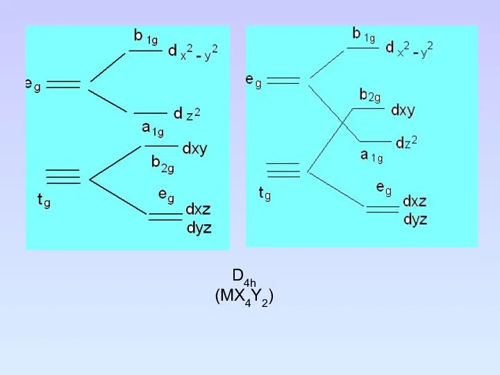 D4h (MX4Y2)