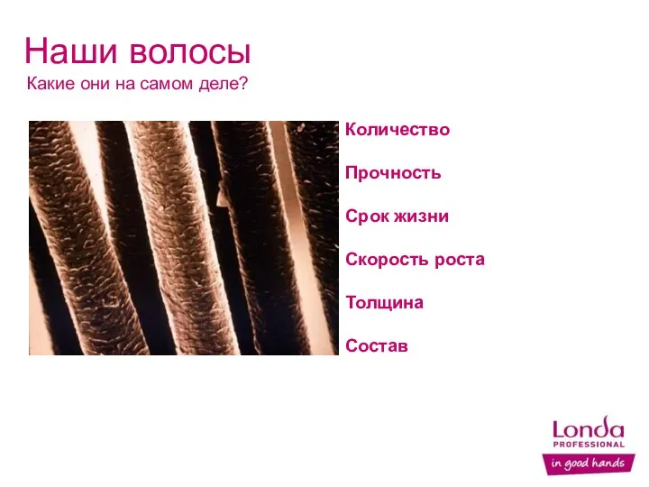 Наши волосы Какие они на самом деле? 30% салон Количество