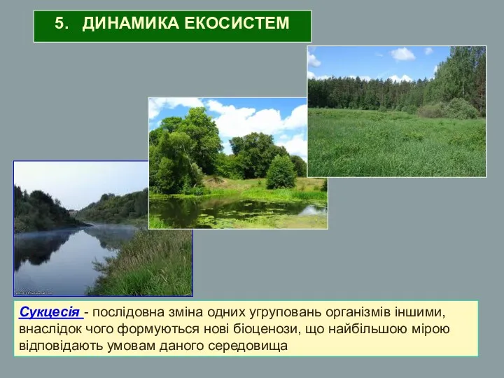 5. ДИНАМИКА ЕКОСИСТЕМ Сукцесія - послідовна зміна одних угруповань організмів