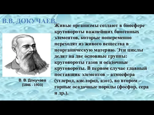 В. В. Докучаев (1846 - 1903) Живые организмы создают в