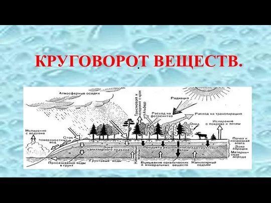 . КРУГОВОРОТ ВЕЩЕСТВ.