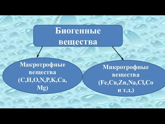 Биогенные вещества Макротрофные вещества (C,H,O,N,P,K,Ca,Mg) Микротрофные вещества (Fe,Cu,Zn,Na,Cl,Co и т.д.)