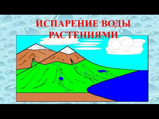 ИСПАРЕНИЕ ВОДЫ РАСТЕНИЯМИ